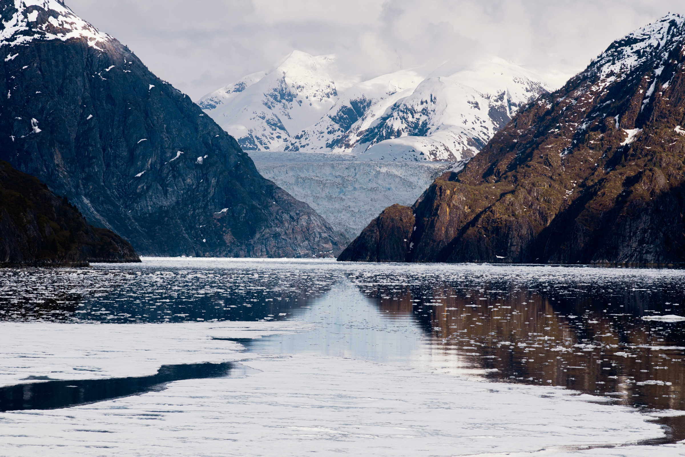 icy arm fjord.webp